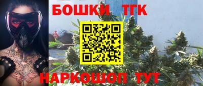 дмт Гатчина
