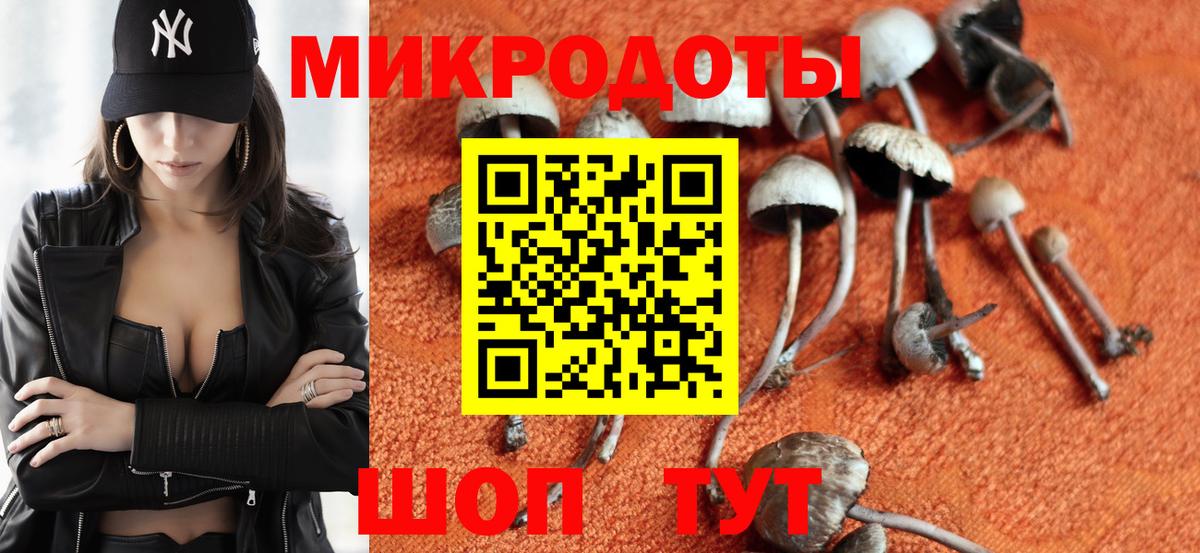 Галлюциногенные грибы GOLDEN TEACHER Псков