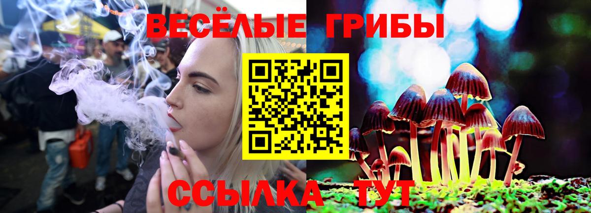 Псков  Псилоцибиновые грибы мицелий  Вход с VPN 