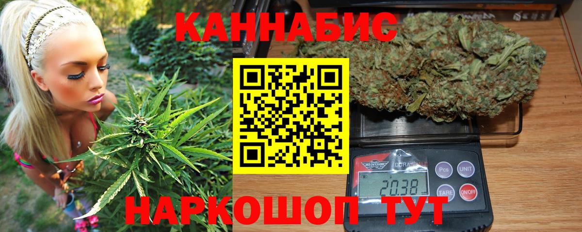 Псков  Канабис план  Шишки марихуана план  Конопля OG Kush  Вход с VPN 